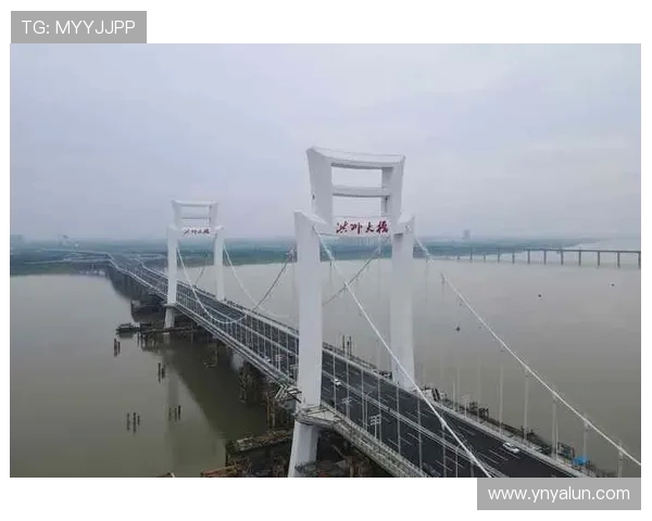 洪州大桥见证万人双向奔赴 南昌夜跑点燃全城热恋(2)